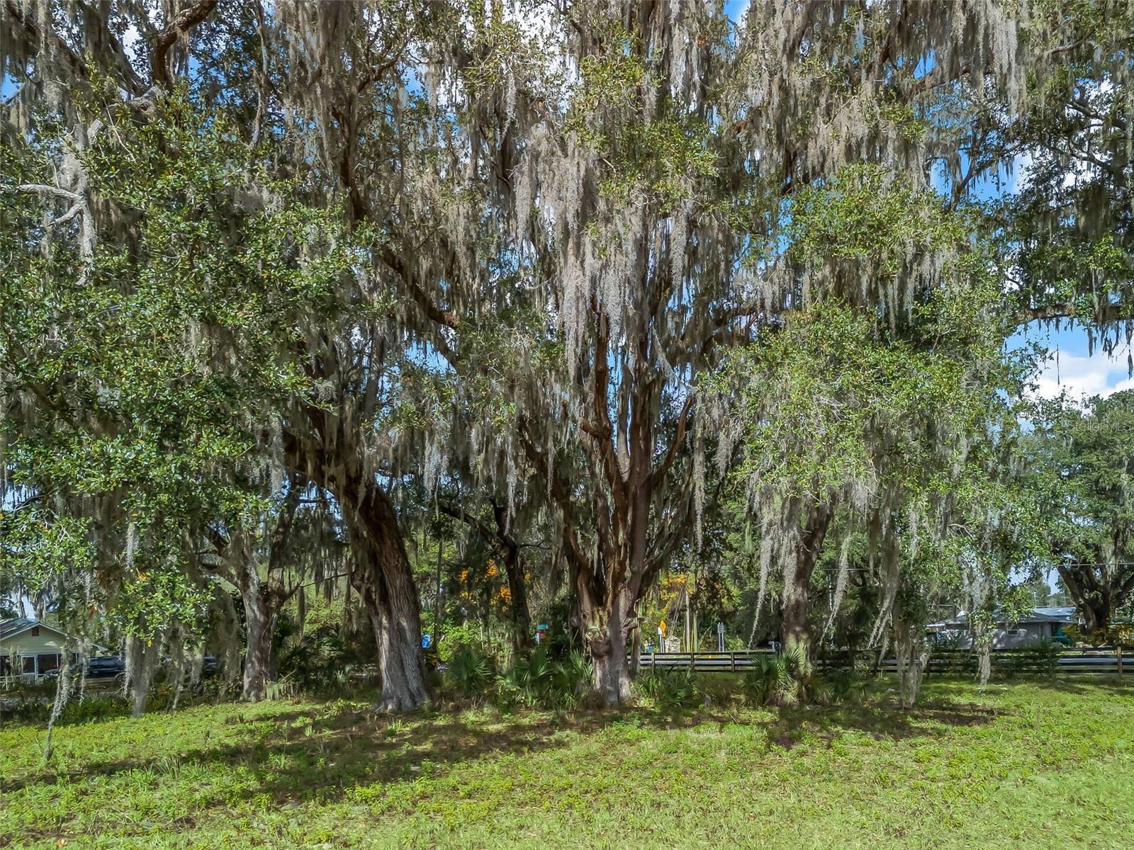 W C 476, BUSHNELL, FL — photo 3