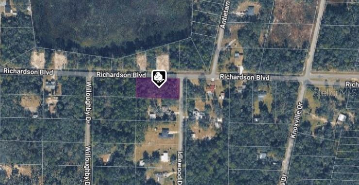 35118 RICHARDSON BLVD, WEBSTER, FL