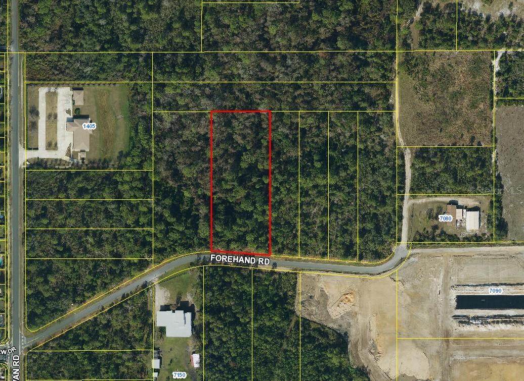 FOREHAND RD, DAVENPORT, FL — photo 8