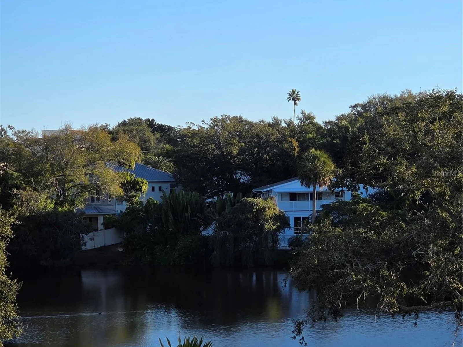 100 OAKMONT LN #305, BELLEAIR, FL — photo 18