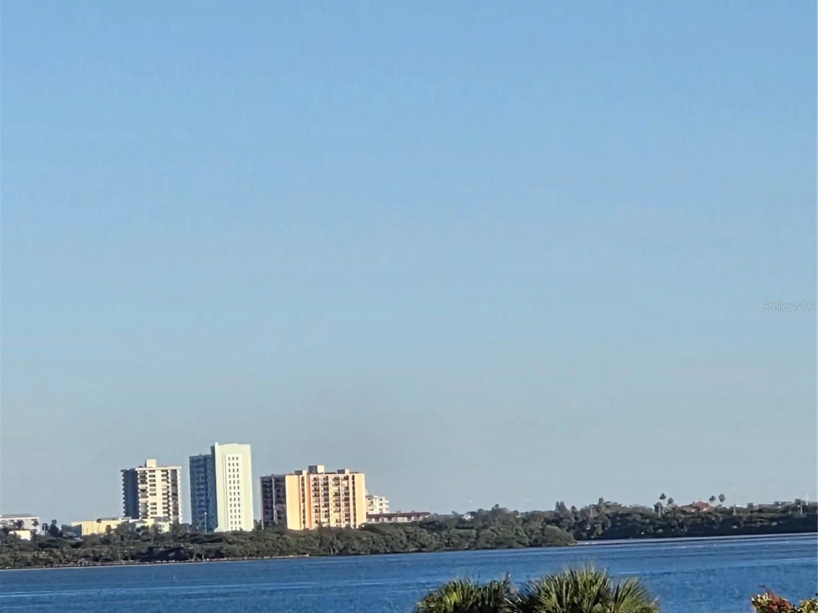 100 OAKMONT LN #305, BELLEAIR, FL — photo 31