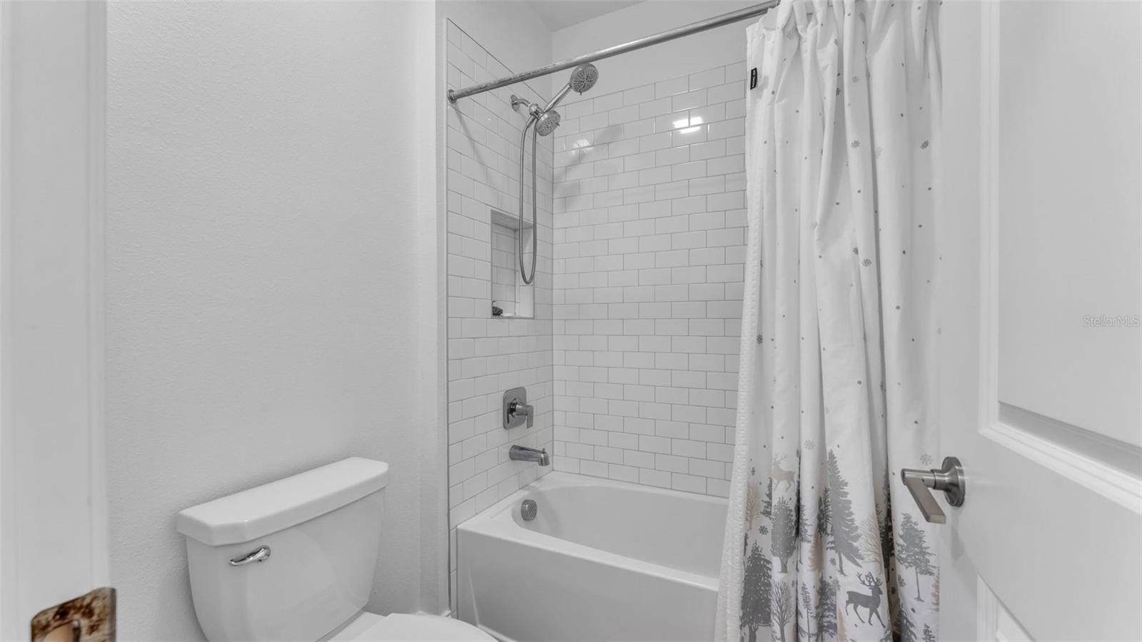 12897 BERGSTROM BAY DR, RIVERVIEW, FL — photo 63