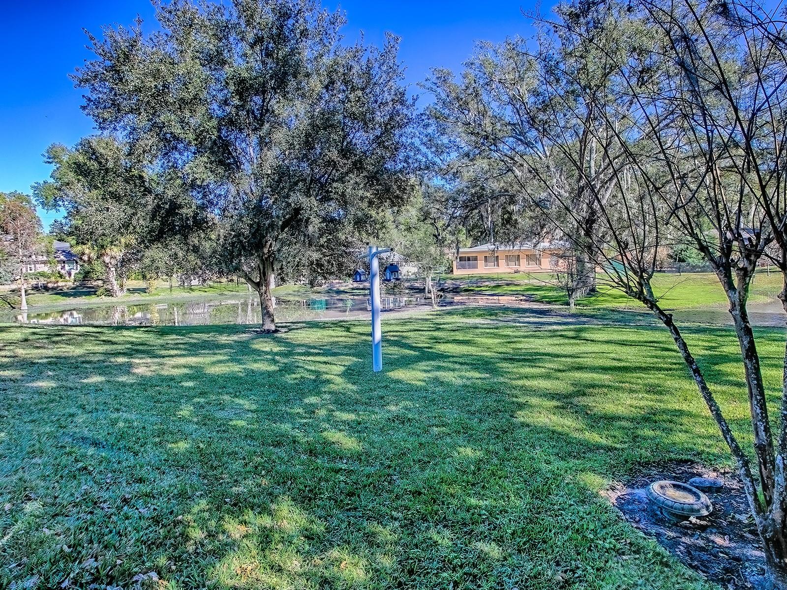 2314 HILLSIDE DR, MOUNT DORA, FL — photo 83