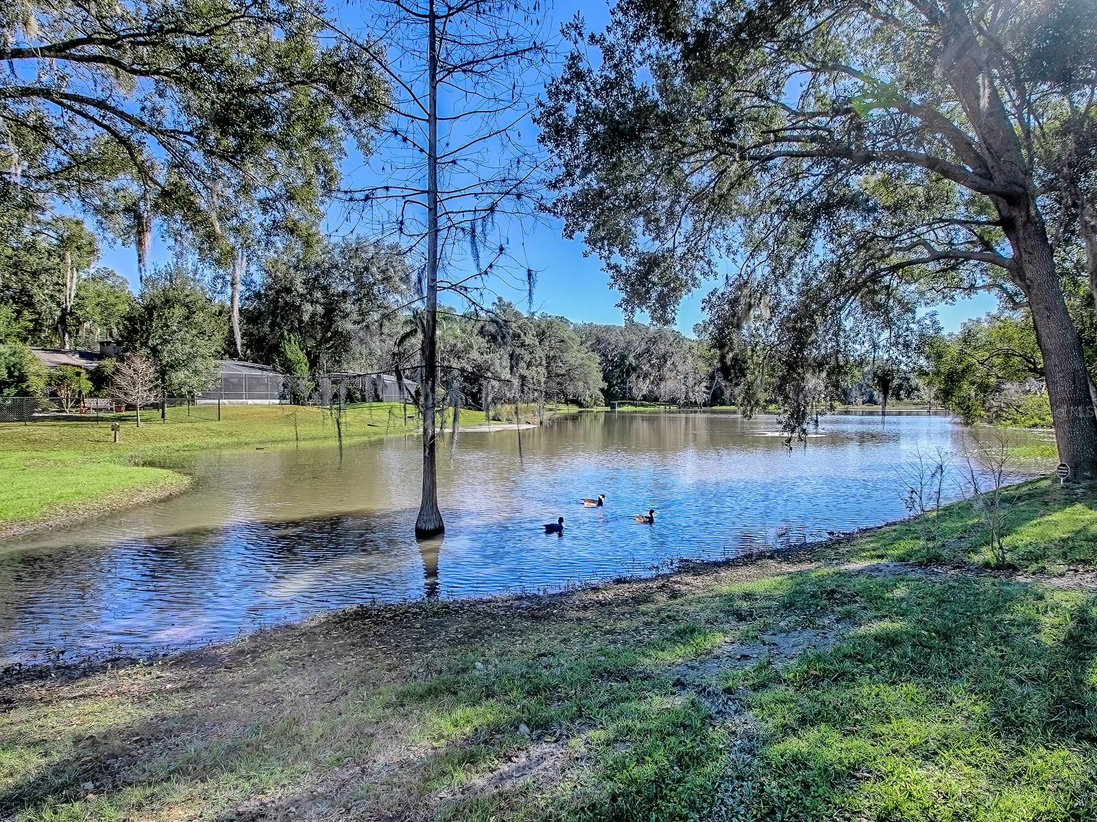 2314 HILLSIDE DR, MOUNT DORA, FL — photo 85