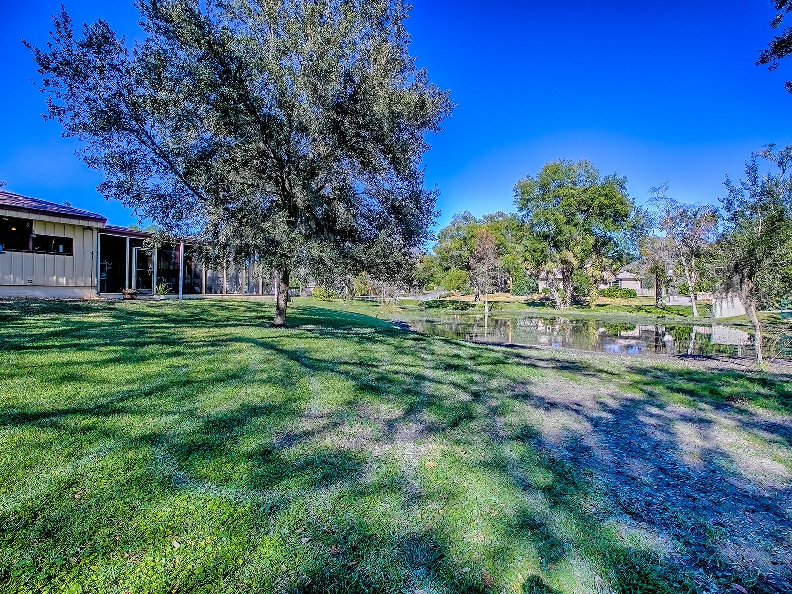 2314 HILLSIDE DR, MOUNT DORA, FL — photo 90