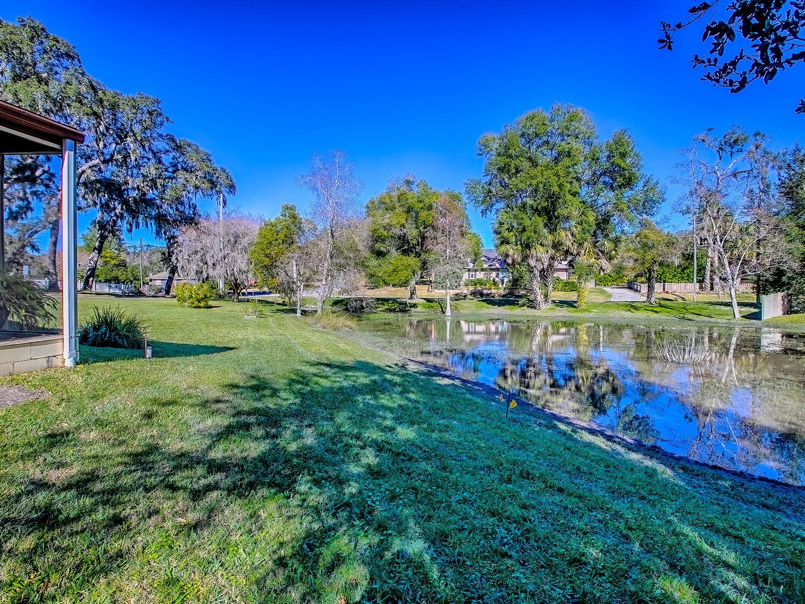 2314 HILLSIDE DR, MOUNT DORA, FL — photo 91