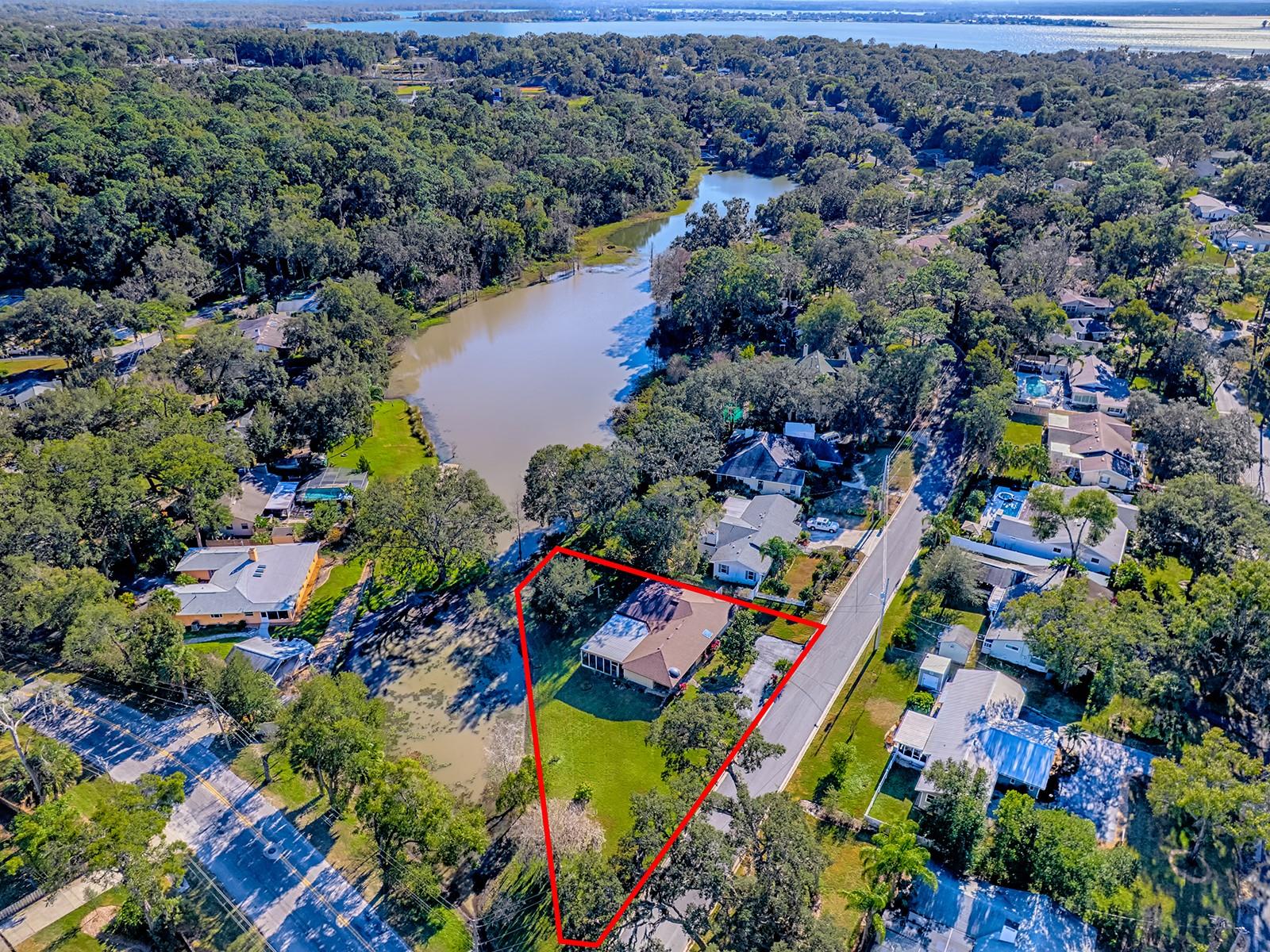 2314 HILLSIDE DR, MOUNT DORA, FL — photo 114