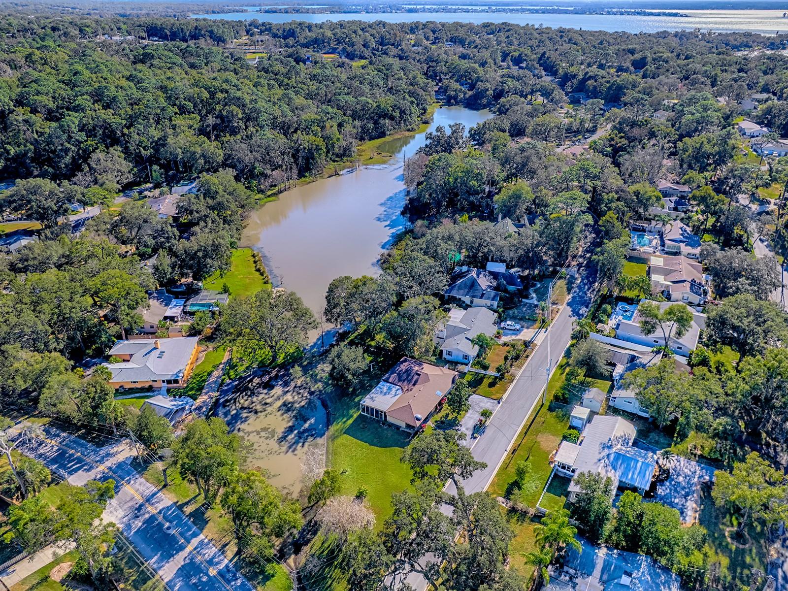 2314 HILLSIDE DR, MOUNT DORA, FL — photo 115