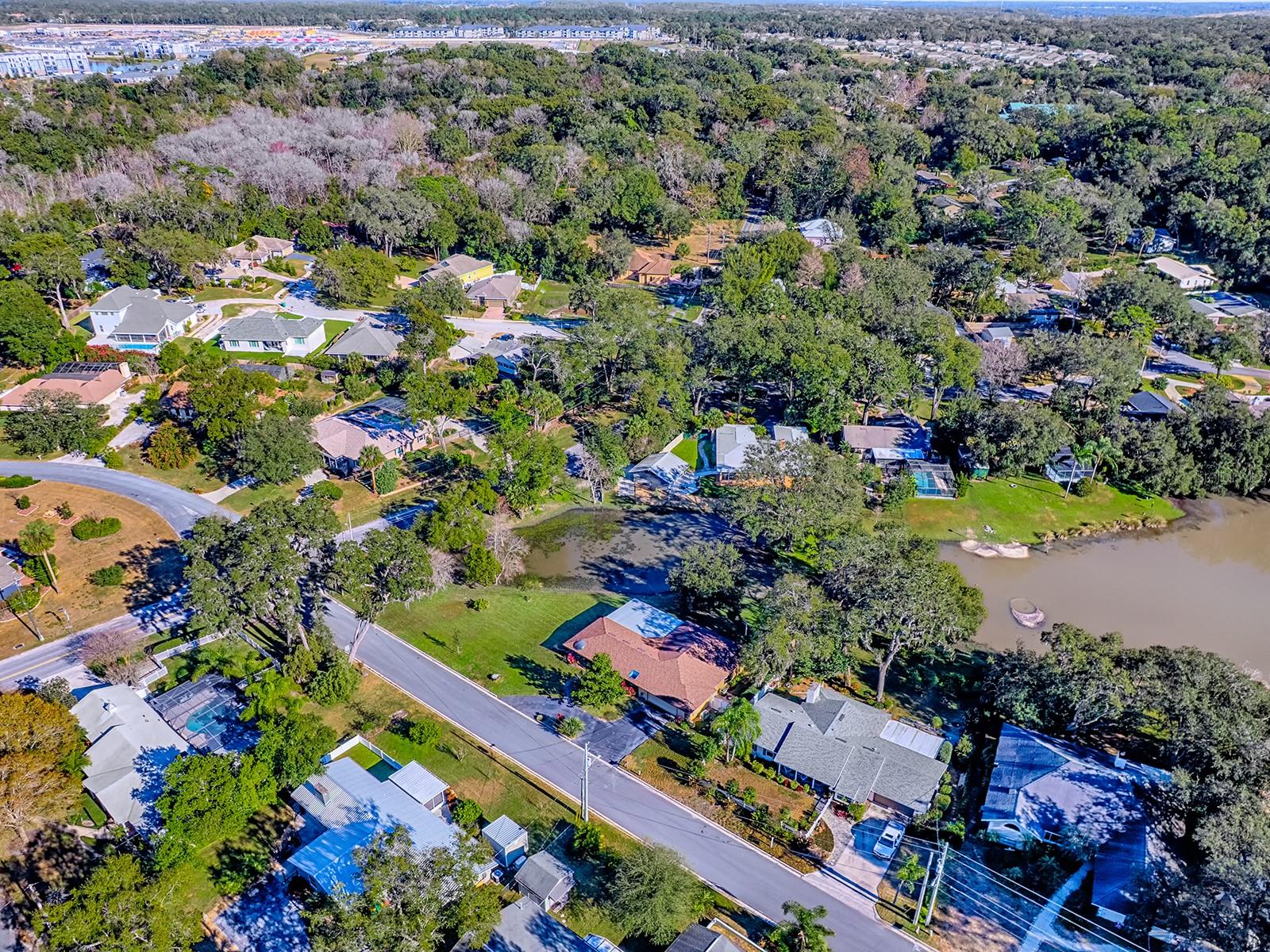2314 HILLSIDE DR, MOUNT DORA, FL — photo 124