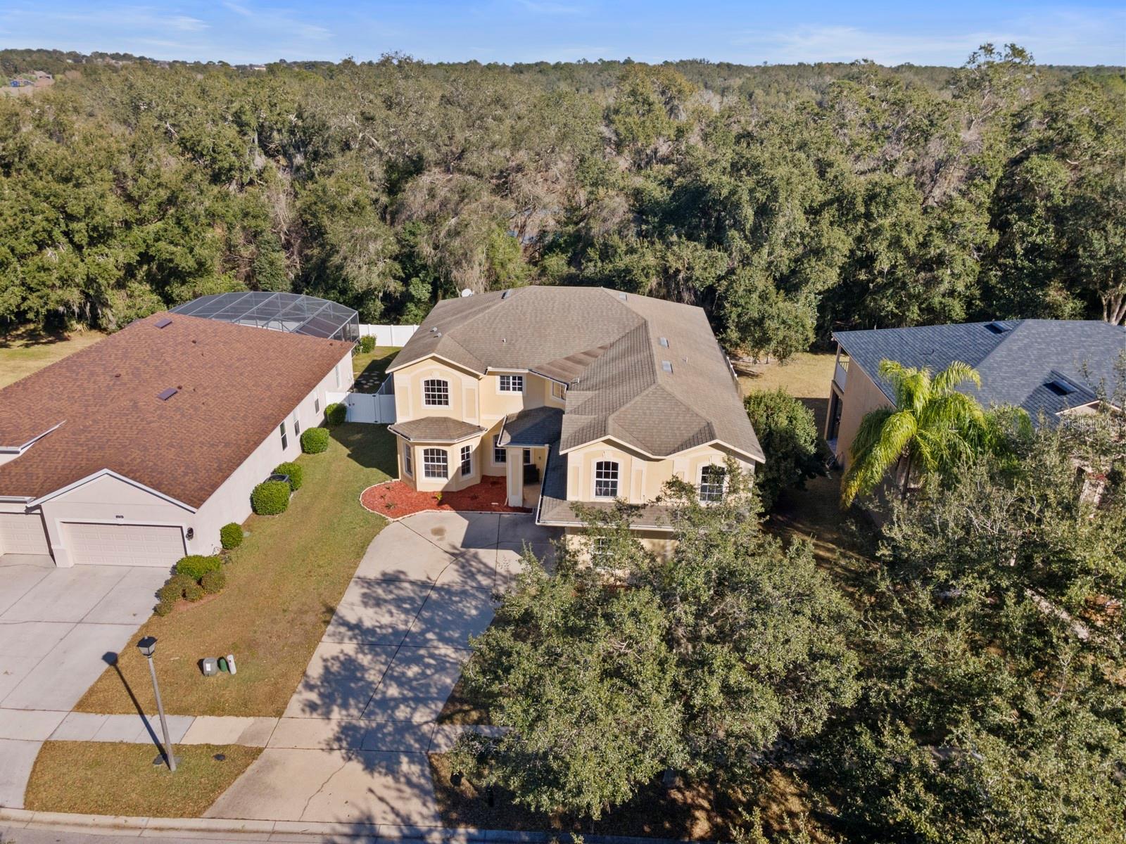 5042 RISHLEY RUN WAY, MOUNT DORA, FL — photo 3