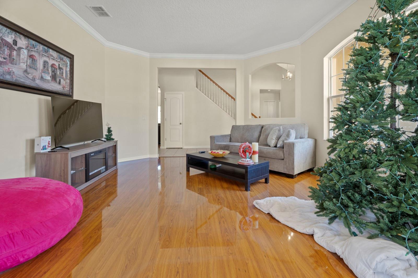 5042 RISHLEY RUN WAY, MOUNT DORA, FL — photo 8