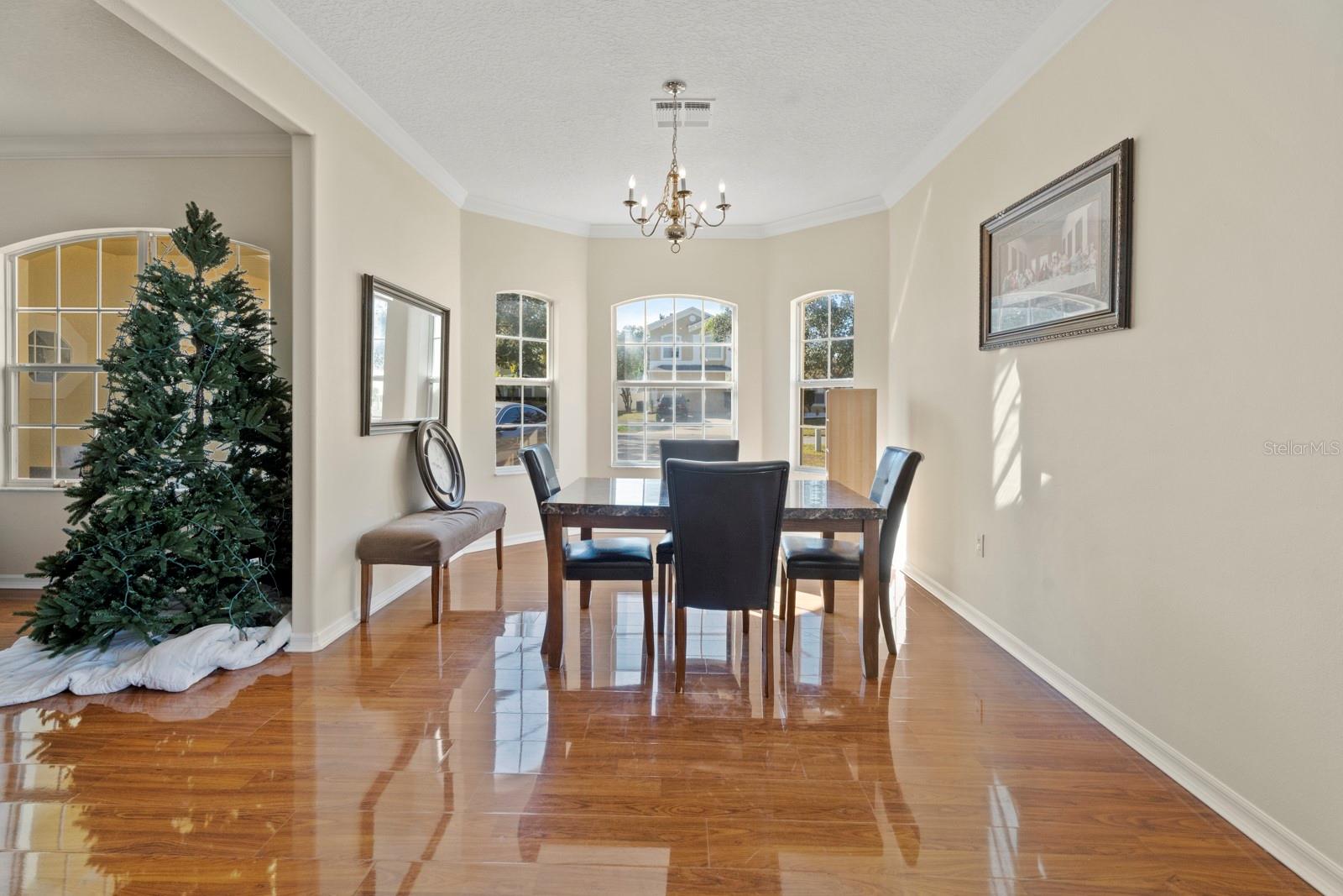 5042 RISHLEY RUN WAY, MOUNT DORA, FL — photo 10
