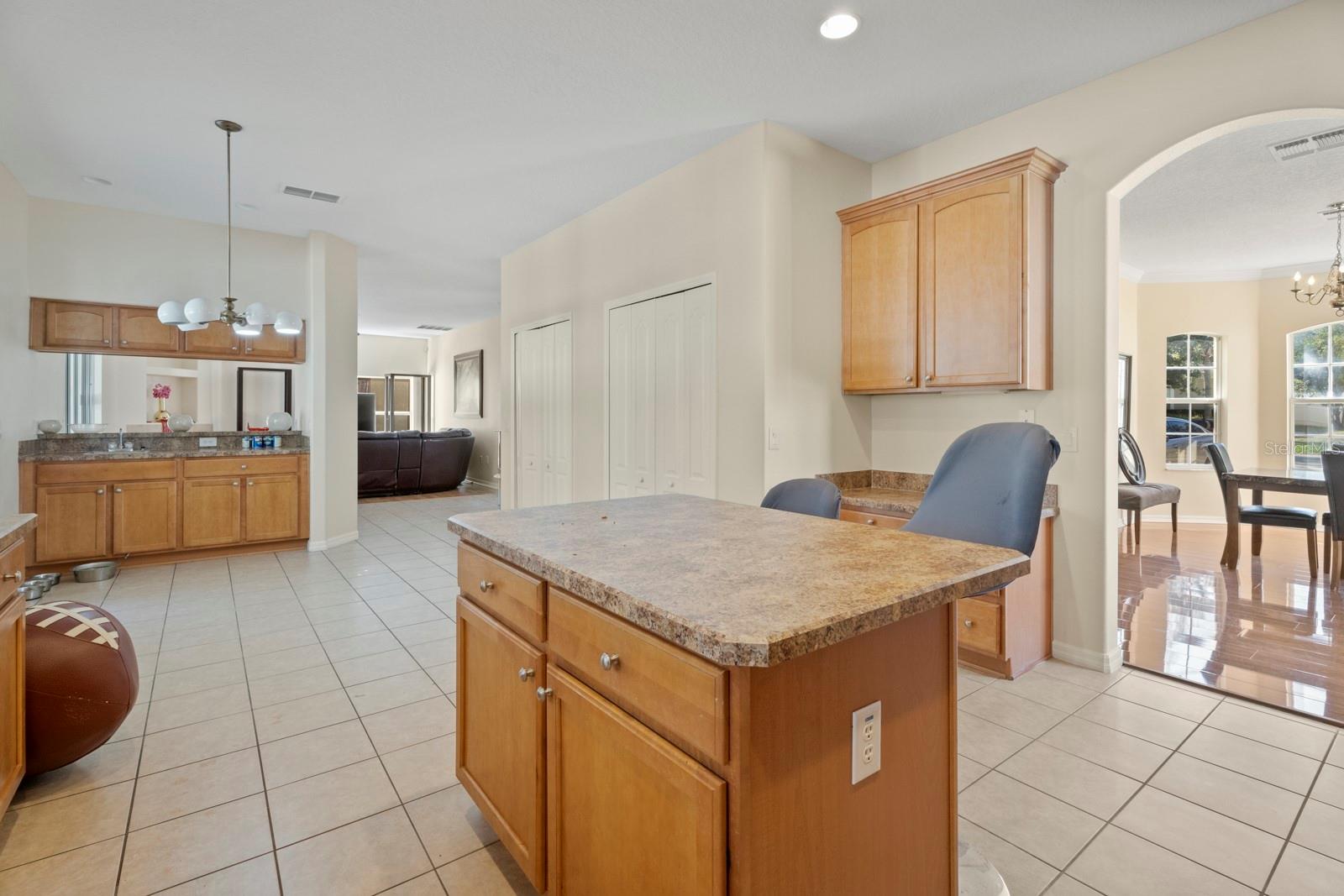 5042 RISHLEY RUN WAY, MOUNT DORA, FL — photo 13