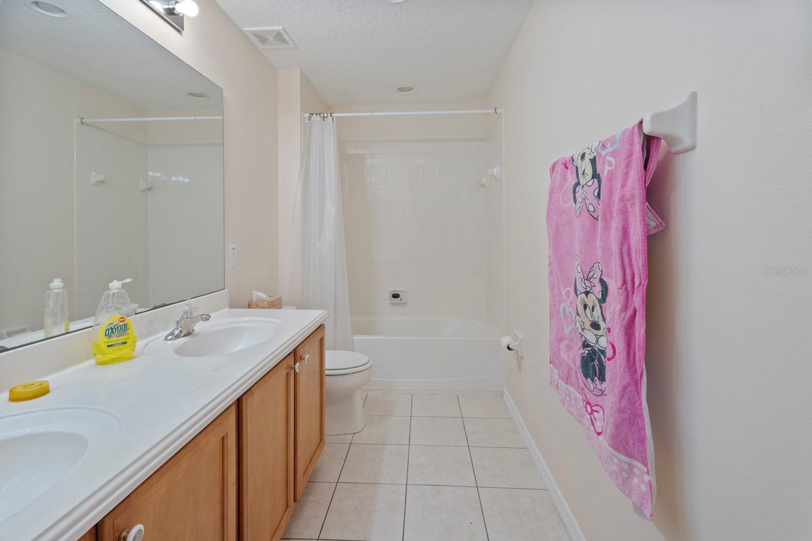5042 RISHLEY RUN WAY, MOUNT DORA, FL — photo 24