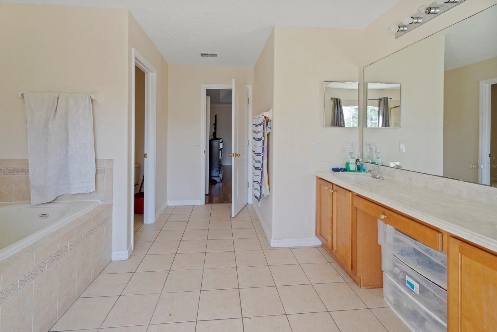 5042 RISHLEY RUN WAY, MOUNT DORA, FL — photo 31