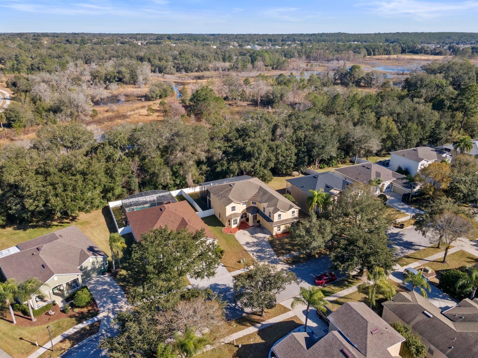 5042 RISHLEY RUN WAY, MOUNT DORA, FL — photo 44