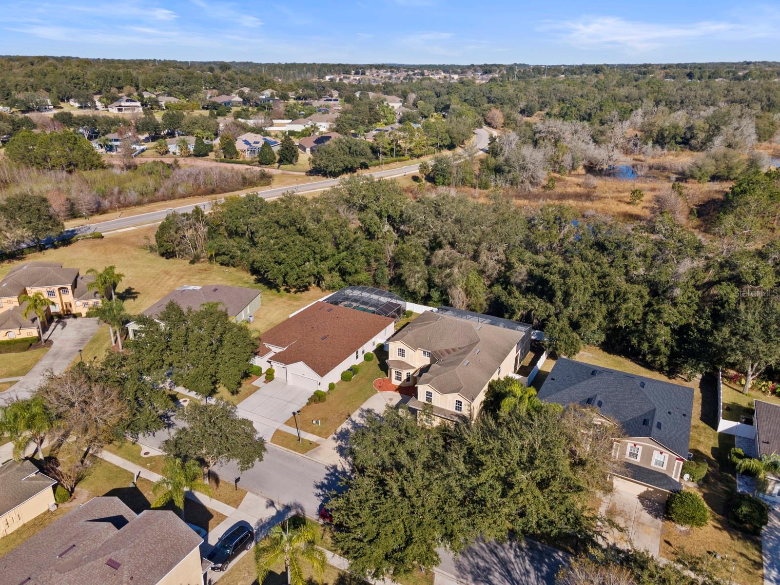 5042 RISHLEY RUN WAY, MOUNT DORA, FL — photo 46