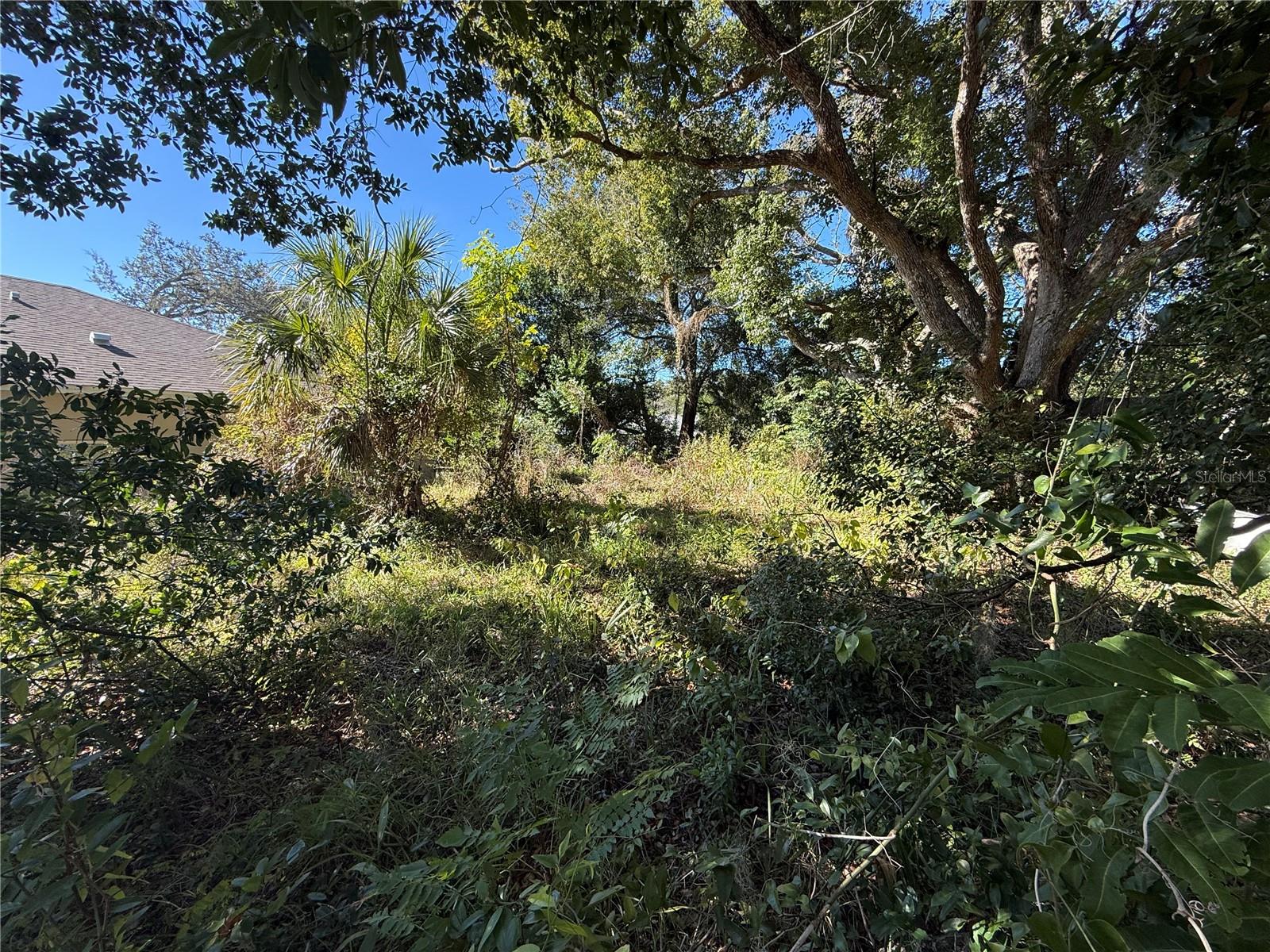 6515 TAYLOR CT, NEW PORT RICHEY, FL — photo 18
