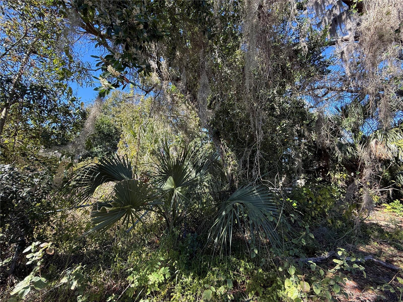 6515 TAYLOR CT, NEW PORT RICHEY, FL — photo 20
