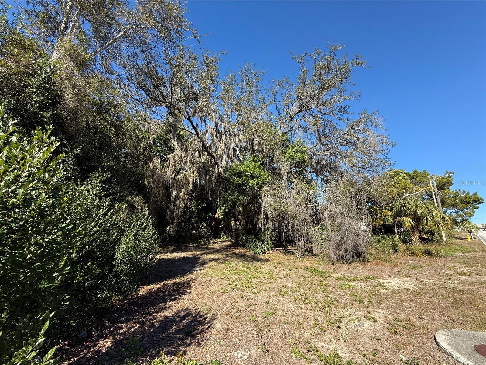 6515 TAYLOR CT, NEW PORT RICHEY, FL — photo 21