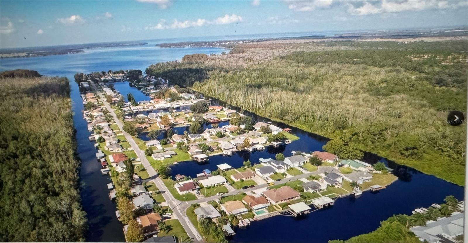 26625 BIMINI DR, TAVARES, FL — photo 87