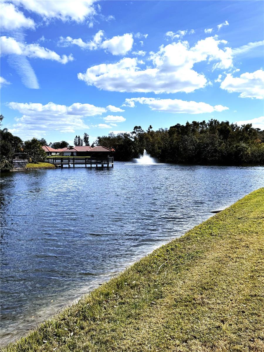 229 LAUREL HOLLOW DR #83, NOKOMIS, FL — photo 38