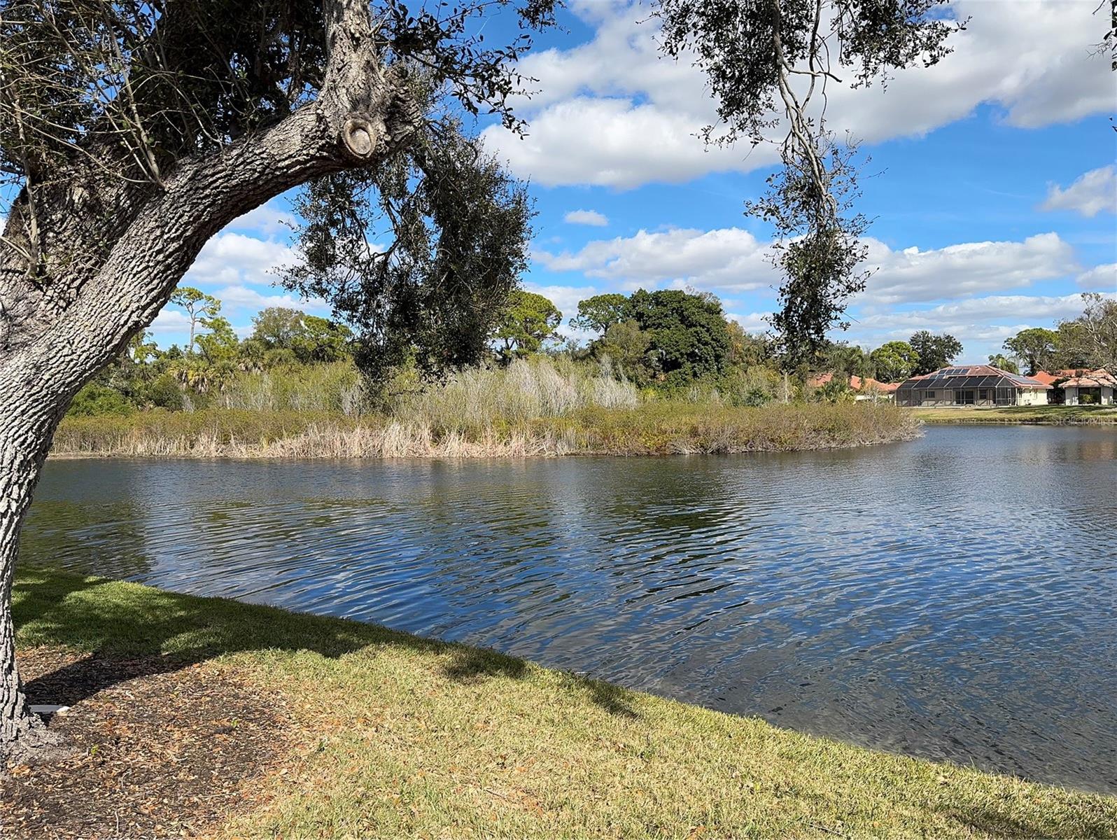 229 LAUREL HOLLOW DR #83, NOKOMIS, FL — photo 40