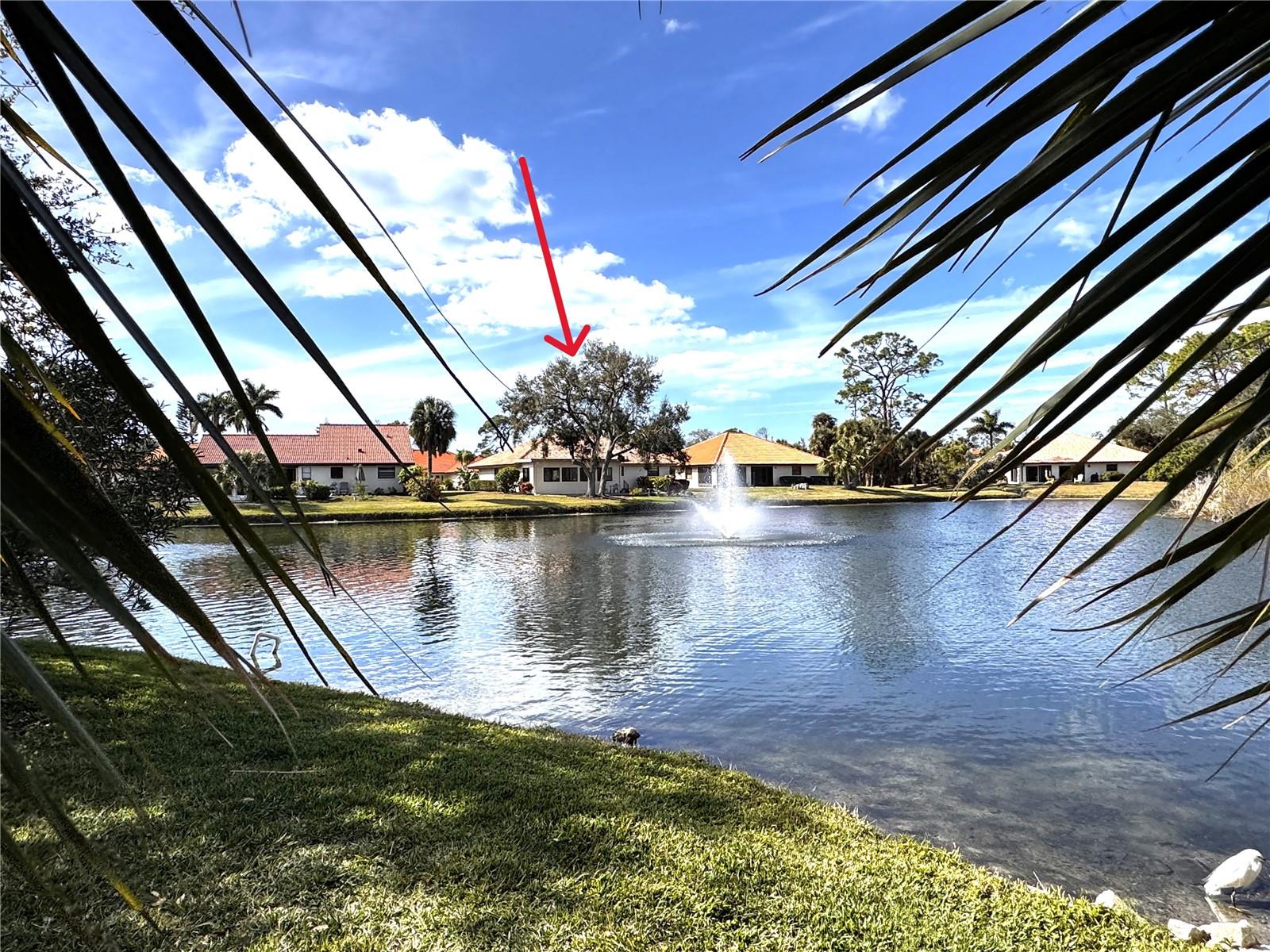 229 LAUREL HOLLOW DR #83, NOKOMIS, FL — photo 57