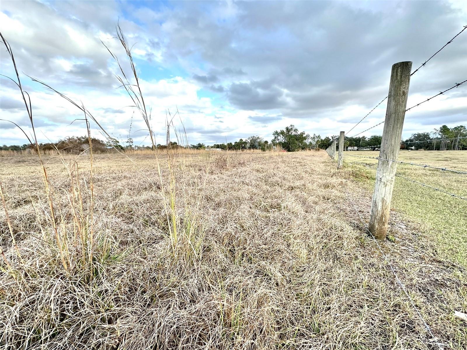 14780 SUGAR BOWL RD, MYAKKA CITY, FL — photo 4