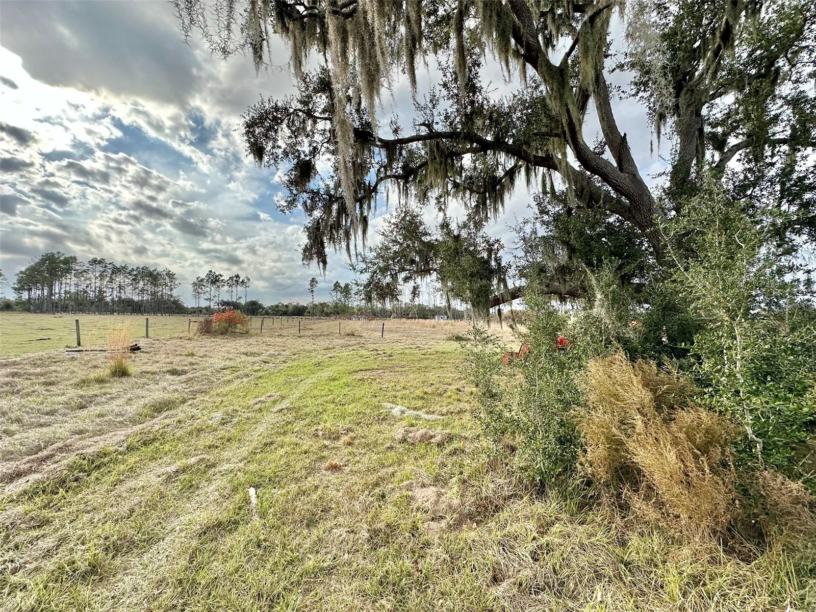 14780 SUGAR BOWL RD, MYAKKA CITY, FL — photo 12