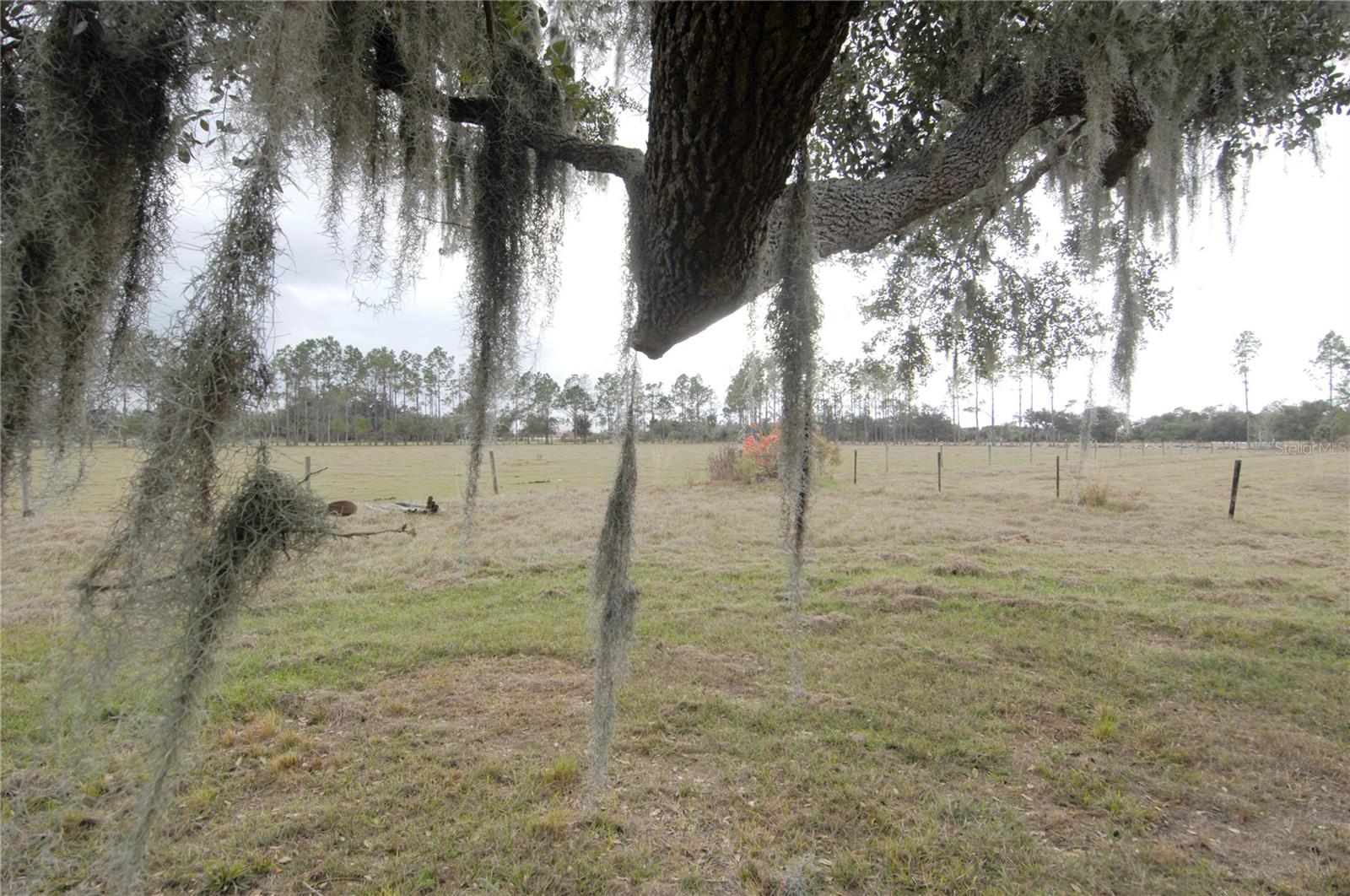 14780 SUGAR BOWL RD, MYAKKA CITY, FL — photo 24