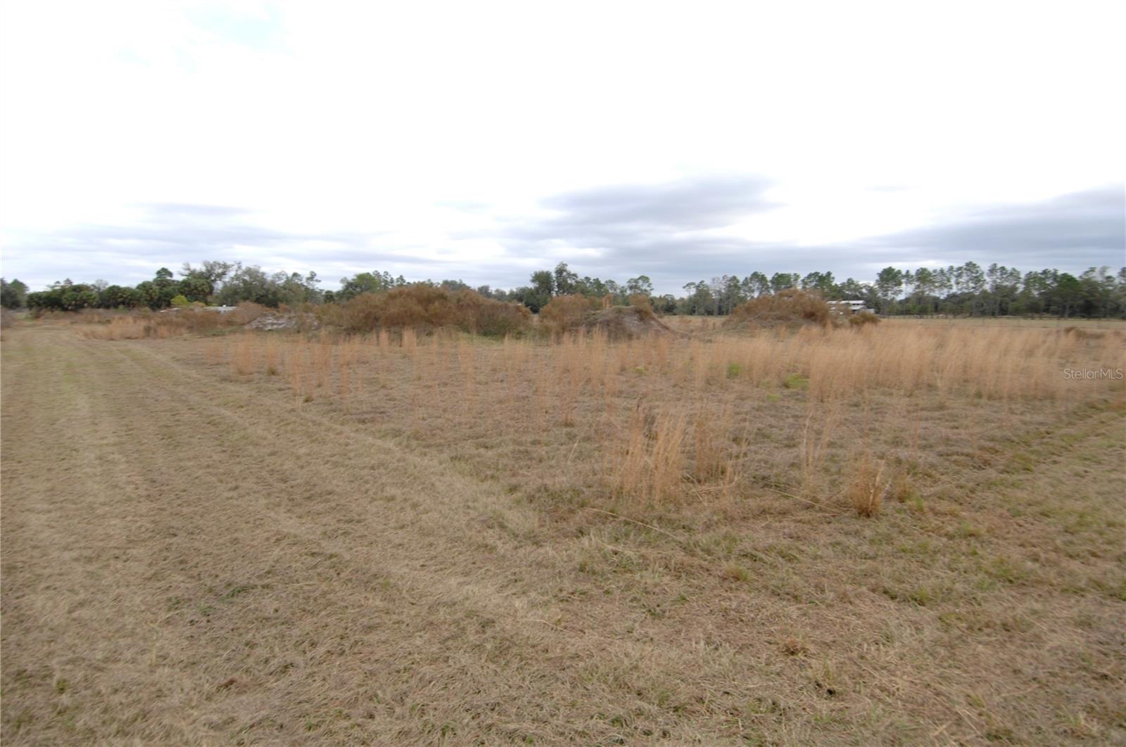 14780 SUGAR BOWL RD, MYAKKA CITY, FL — photo 40