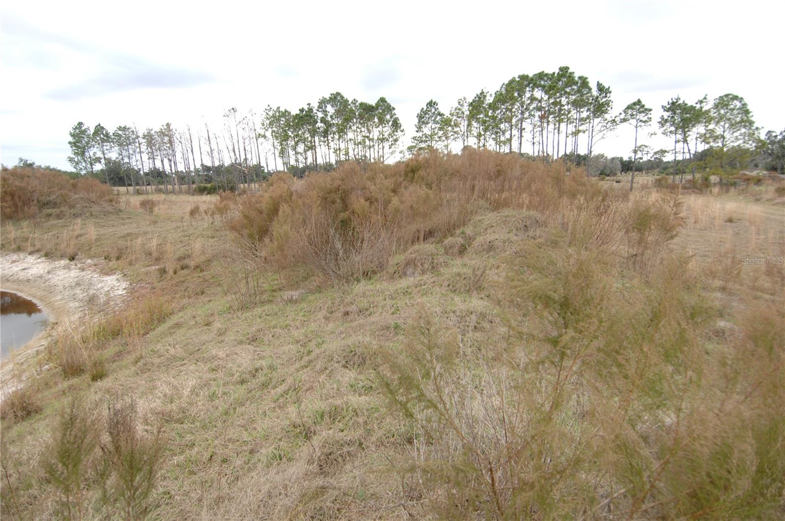14780 SUGAR BOWL RD, MYAKKA CITY, FL — photo 44