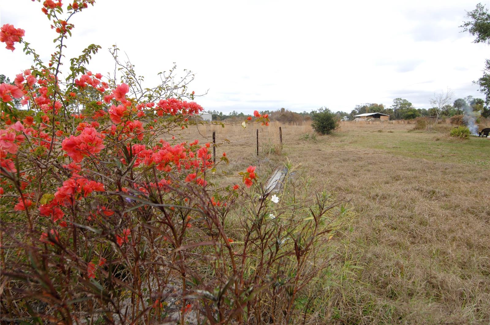 14780 SUGAR BOWL RD, MYAKKA CITY, FL — photo 52