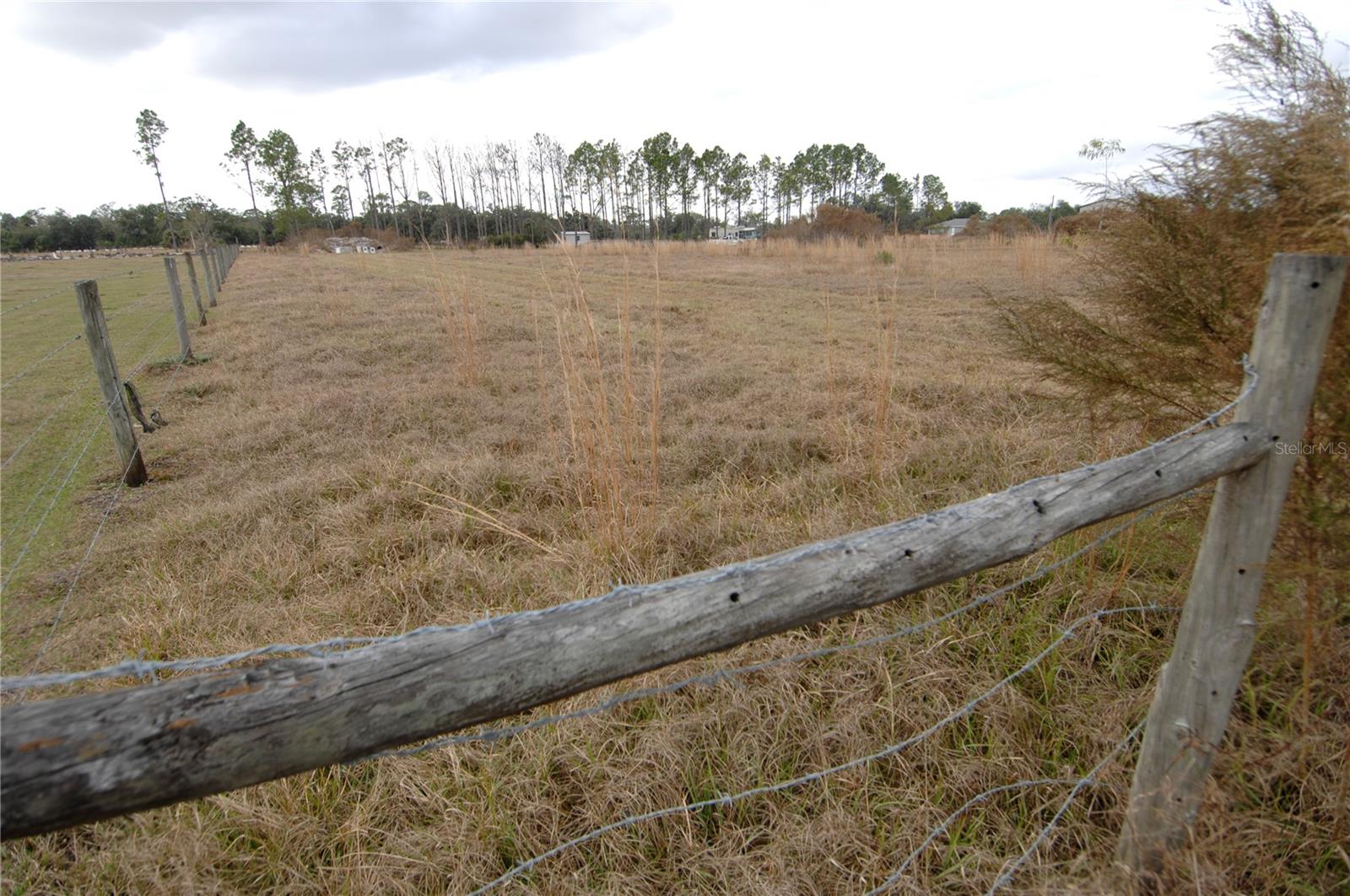 14780 SUGAR BOWL RD, MYAKKA CITY, FL — photo 53