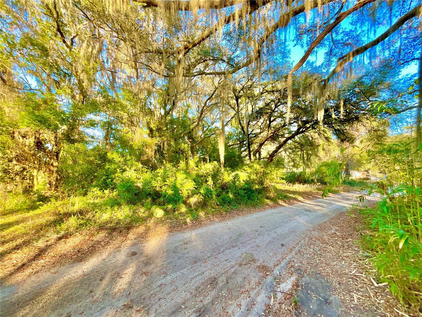 TBD LAKEVIEW WAY, INTERLACHEN, FL