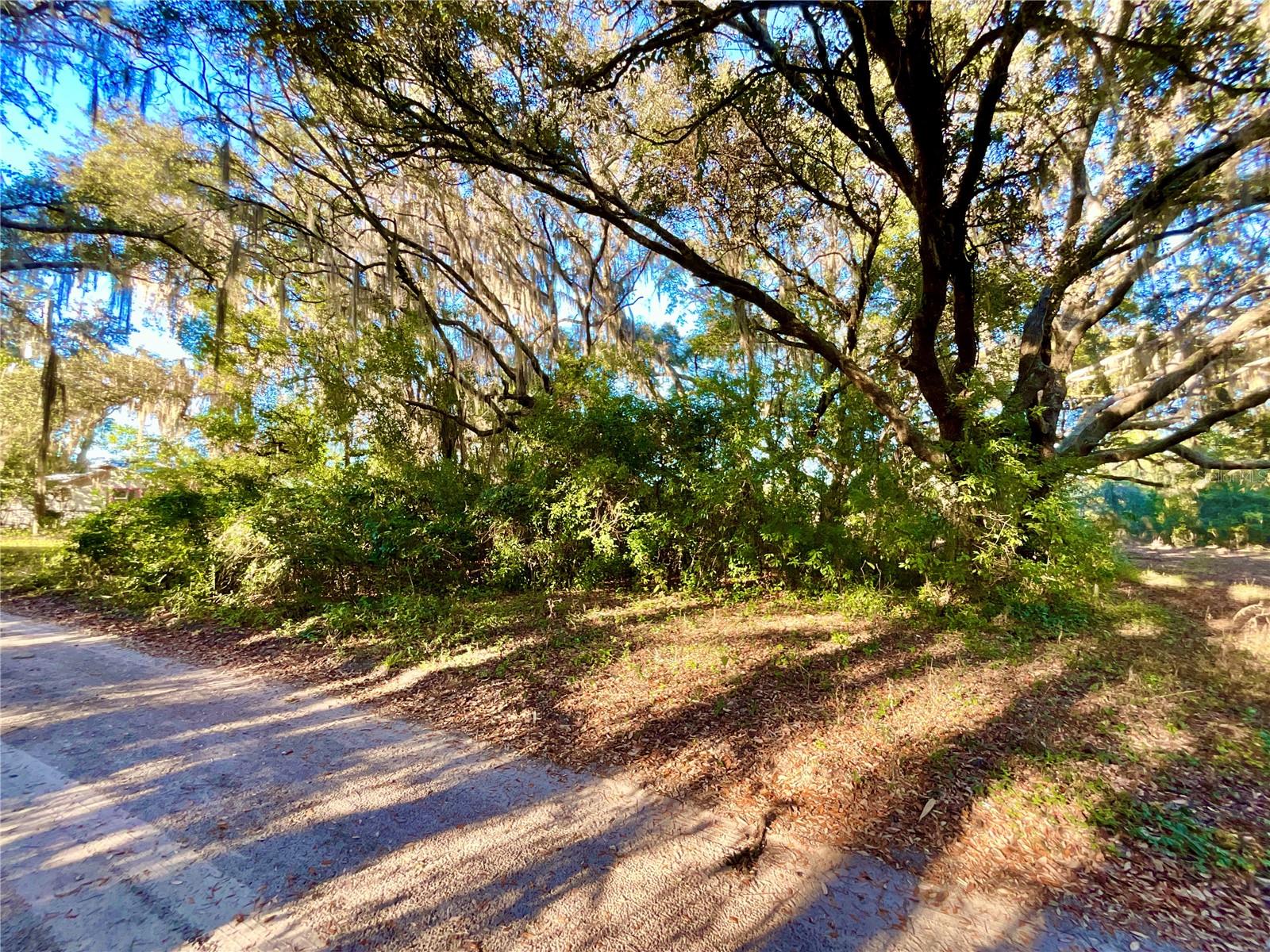 TBD LAKEVIEW WAY, INTERLACHEN, FL — photo 5