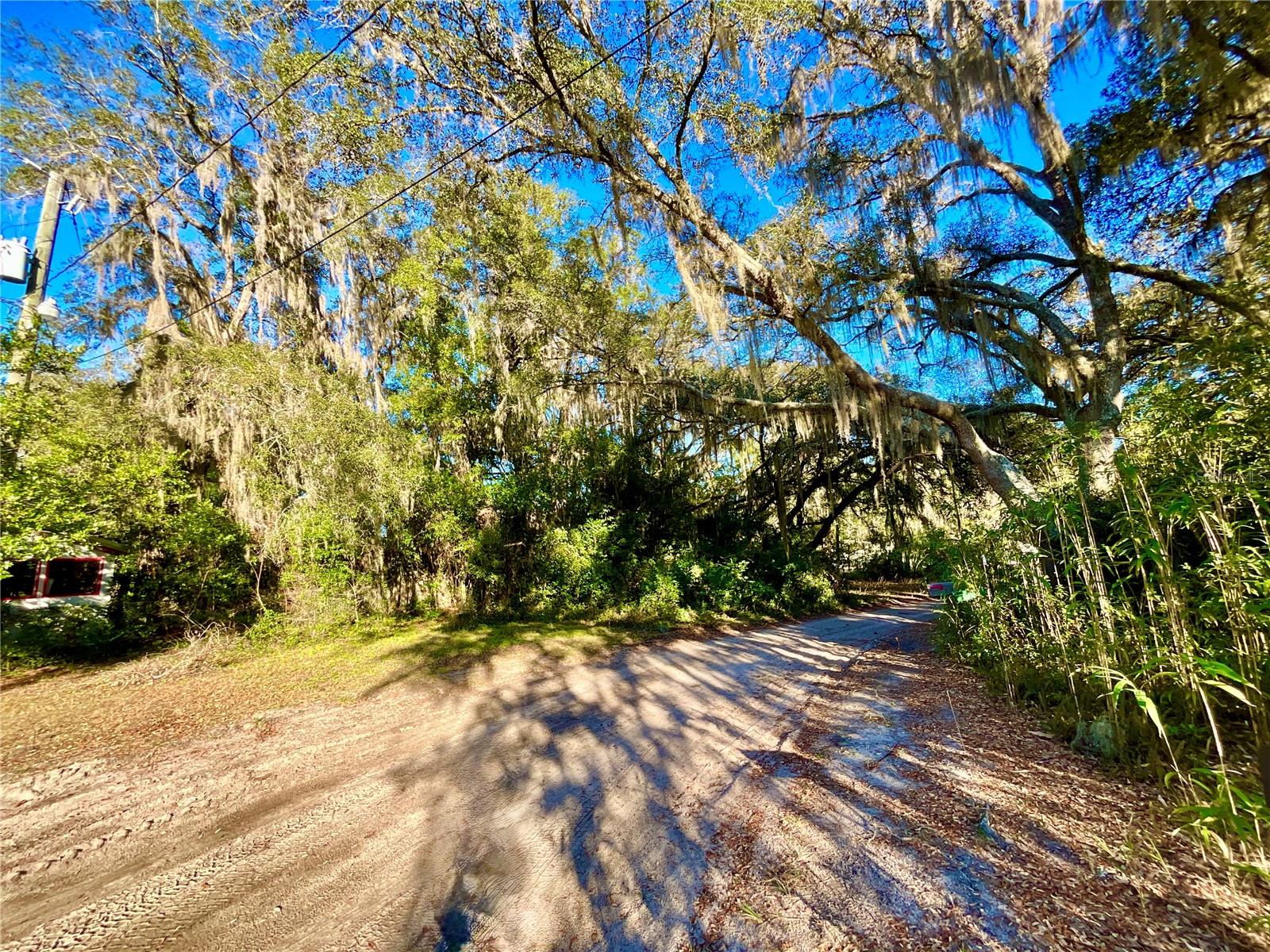 TBD LAKEVIEW WAY, INTERLACHEN, FL — photo 7