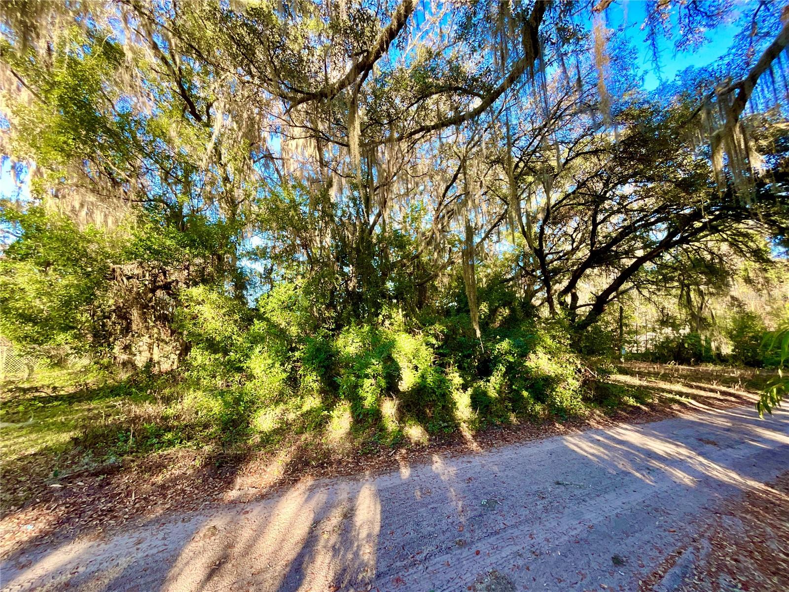 TBD LAKEVIEW WAY, INTERLACHEN, FL — photo 10