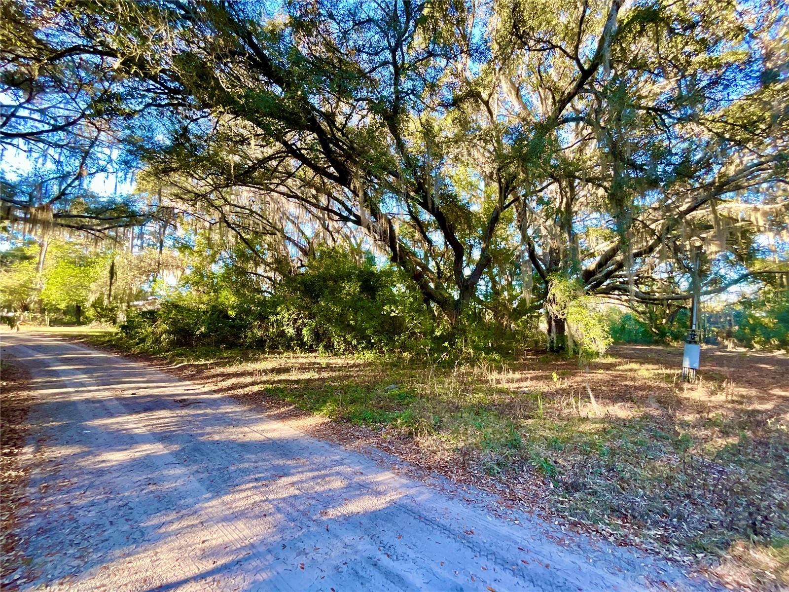 TBD LAKEVIEW WAY, INTERLACHEN, FL — photo 12