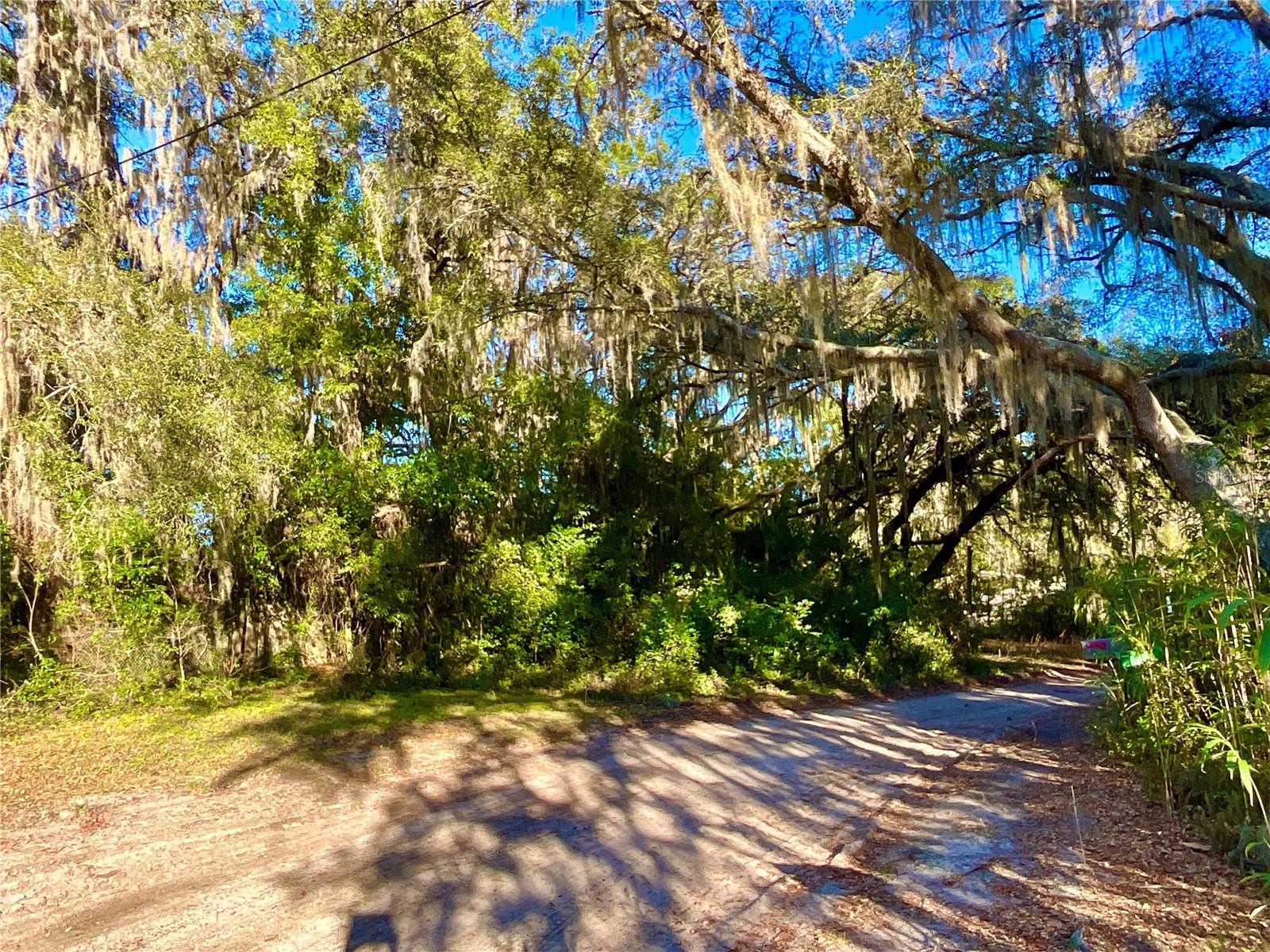 TBD LAKEVIEW WAY, INTERLACHEN, FL — photo 13