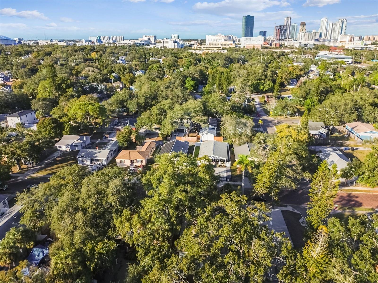 610 16TH AVE S, ST PETERSBURG, FL — photo 36