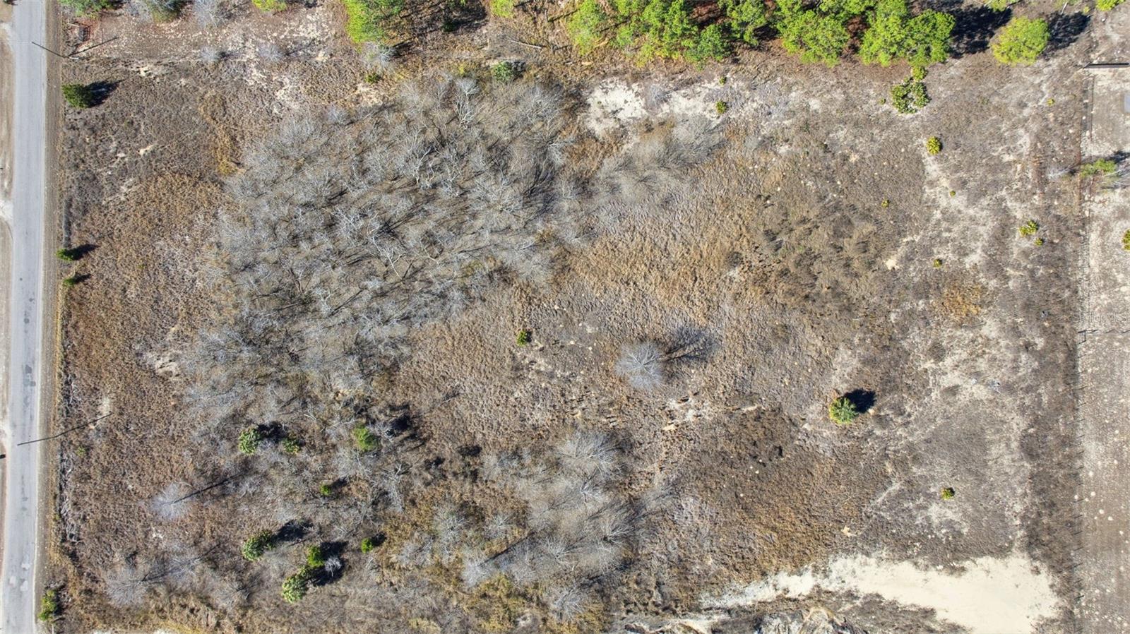 SWEET GUM RD, BROOKSVILLE, FL — photo 24