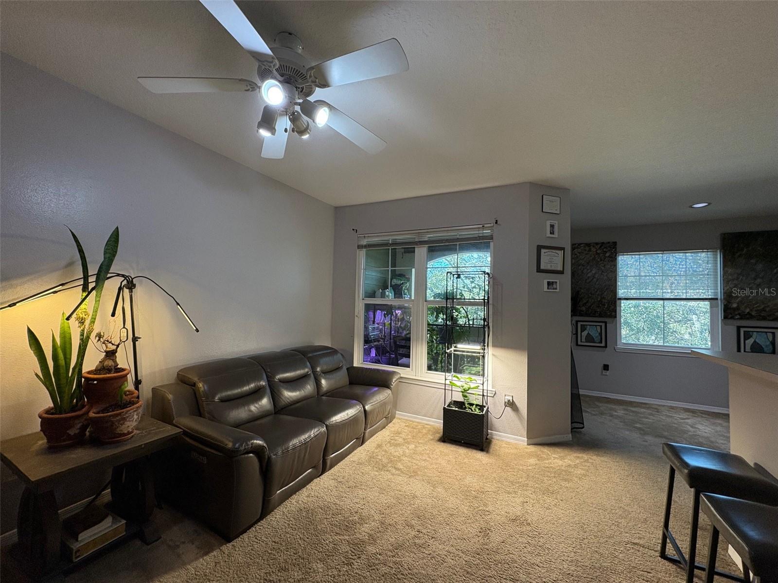 1810 E PALM AVE #7303, TAMPA, FL — photo 3