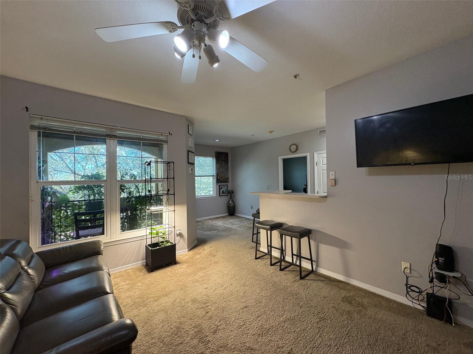 1810 E PALM AVE #7303, TAMPA, FL — photo 4