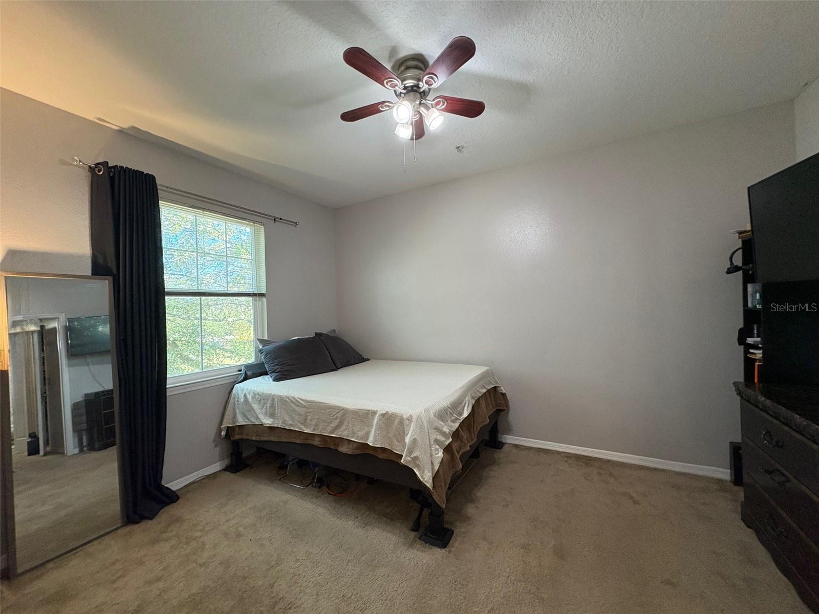 1810 E PALM AVE #7303, TAMPA, FL — photo 8
