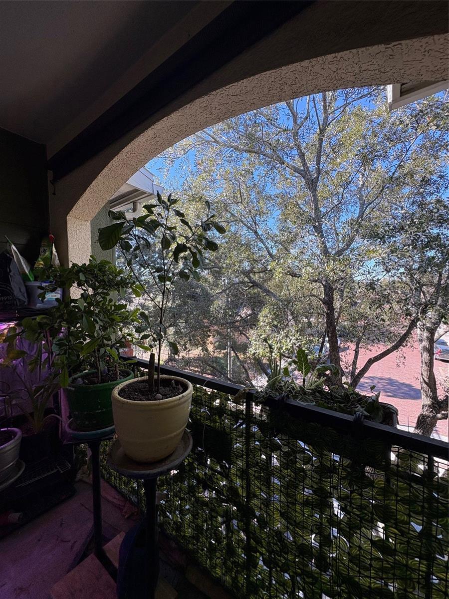 1810 E PALM AVE #7303, TAMPA, FL — photo 14