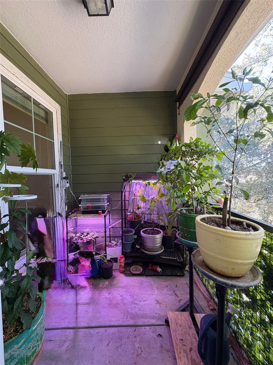 1810 E PALM AVE #7303, TAMPA, FL — photo 15