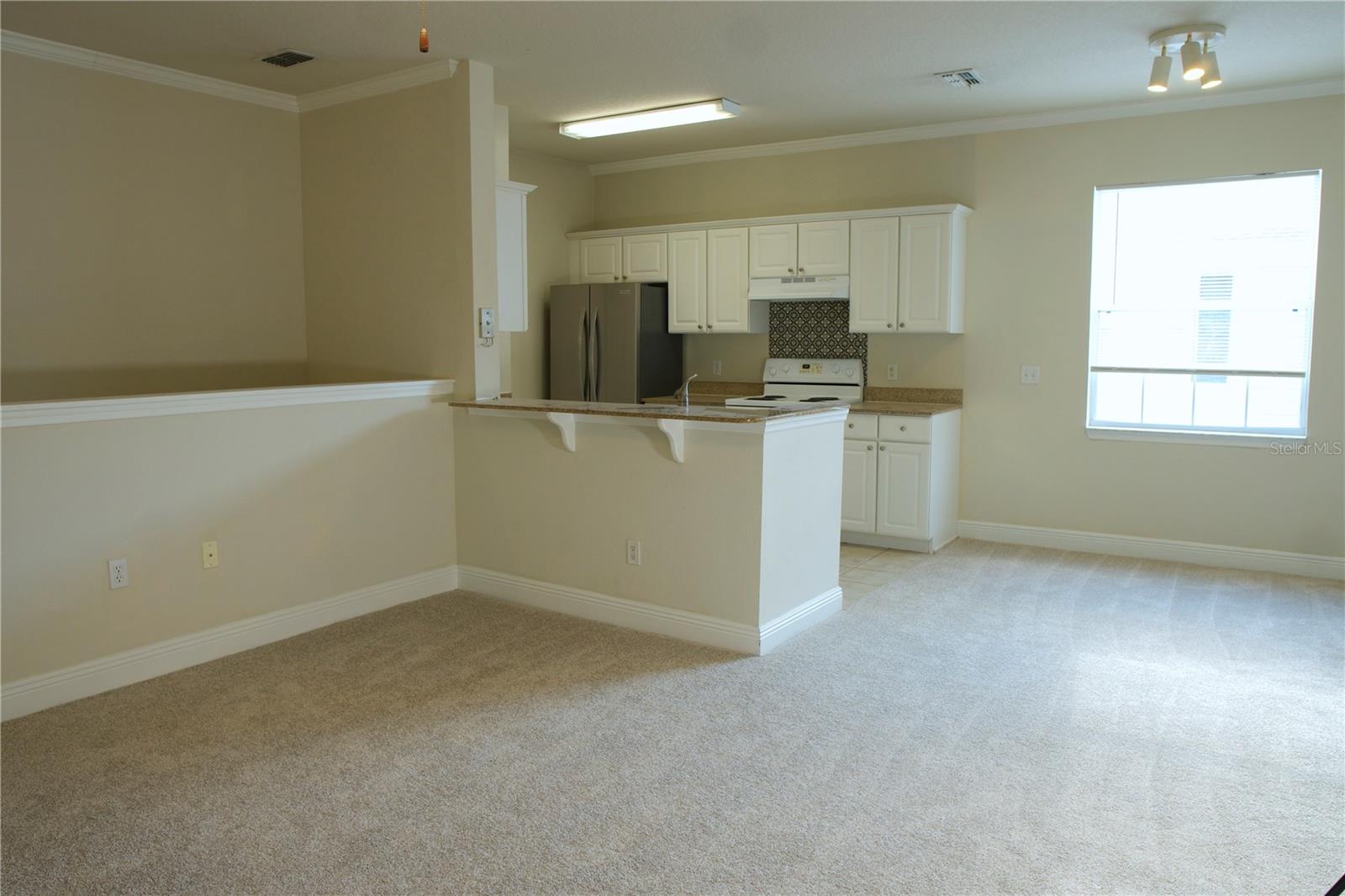 233 SOUTHERN PECAN CIR #101, WINTER GARDEN, FL — photo 7