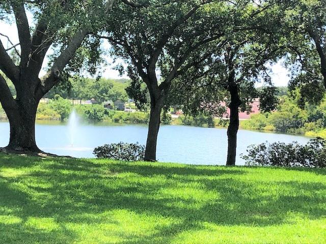 2690 CORAL LANDINGS BLVD #438, PALM HARBOR, FL — photo 2